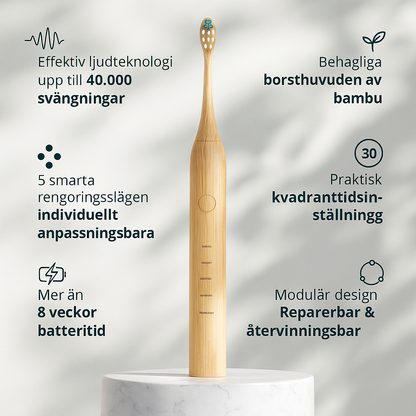 Hållbar eltandborste med ljudteknik