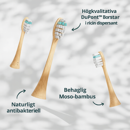 Hållbar eltandborste med ljudteknik
