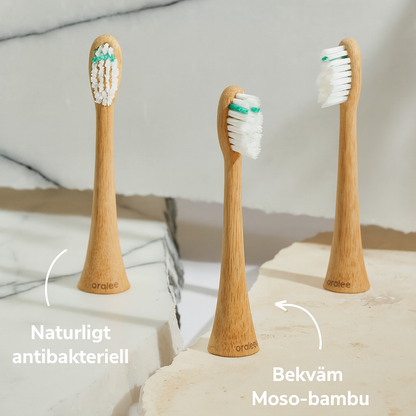 Bambu borsthuvud medium