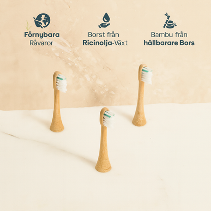 Bambu borsthuvud medium