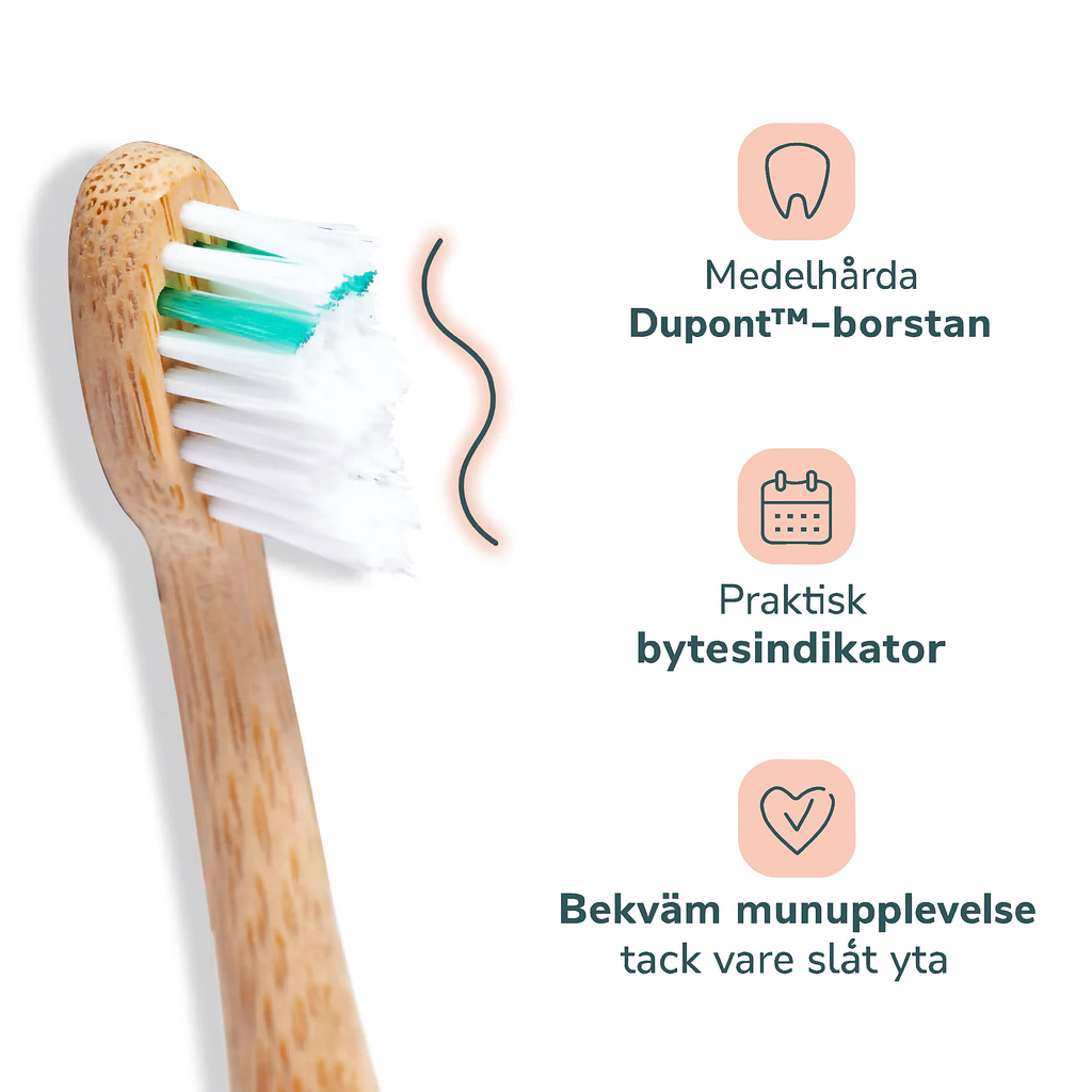 Bambu borsthuvud medium