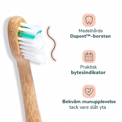 Bambu borsthuvud medium